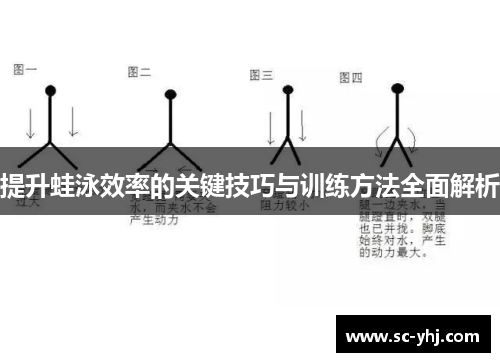 提升蛙泳效率的关键技巧与训练方法全面解析
