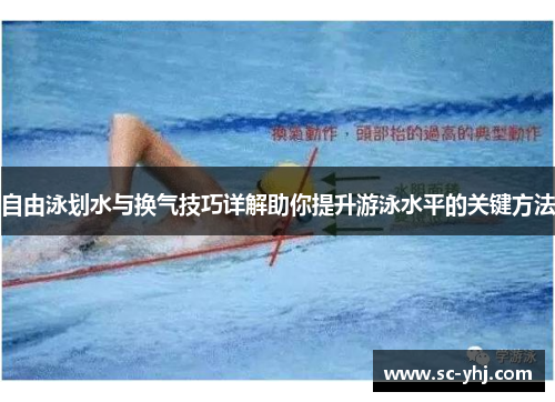 自由泳划水与换气技巧详解助你提升游泳水平的关键方法