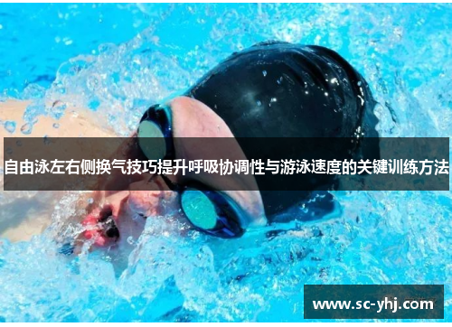自由泳左右侧换气技巧提升呼吸协调性与游泳速度的关键训练方法