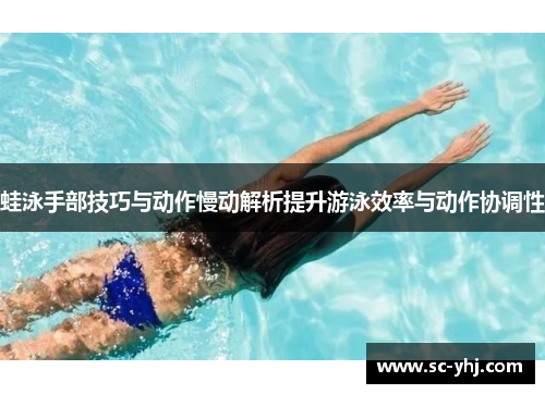 蛙泳手部技巧与动作慢动解析提升游泳效率与动作协调性