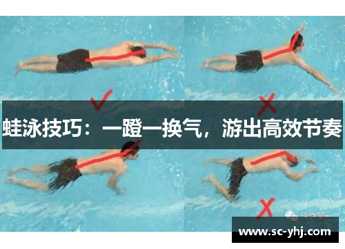 蛙泳技巧：一蹬一换气，游出高效节奏