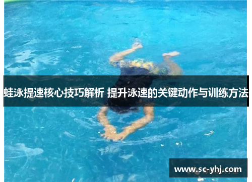 蛙泳提速核心技巧解析 提升泳速的关键动作与训练方法