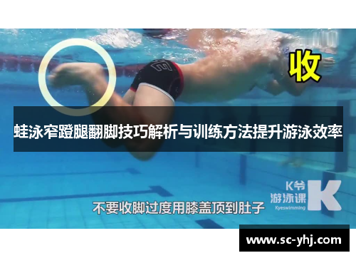 蛙泳窄蹬腿翻脚技巧解析与训练方法提升游泳效率